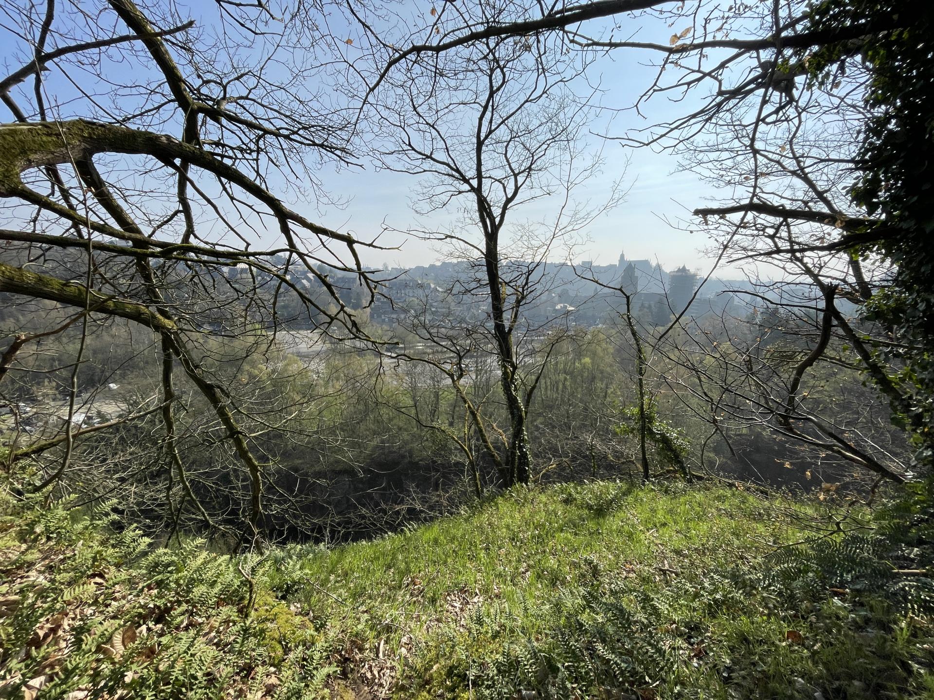 Du haut de la carriere